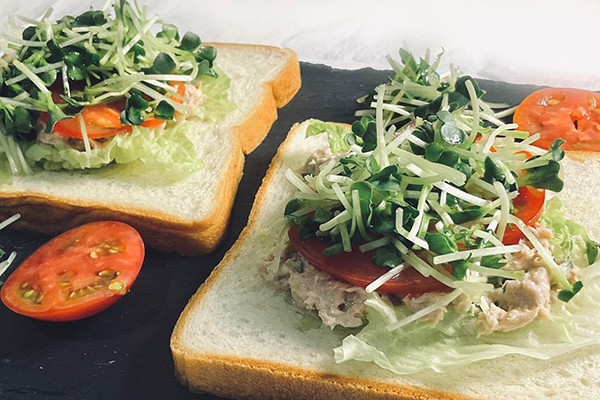 ツナサラダとカイワレ大根